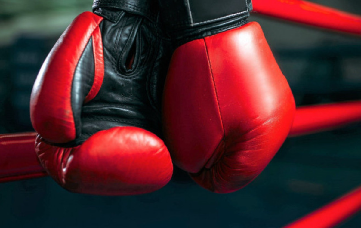 Казахстан взял 17 медалей на Boxam Elite в Испании