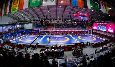 Где пройдут чемпионаты мира по видам борьбы в 2025 году
