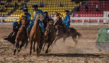 Какие национальные виды спорта приравняли к олимпийским в Казахстане