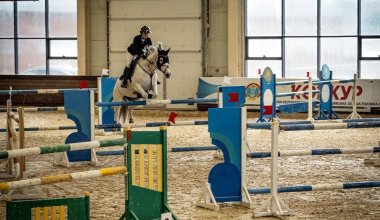 Названы победители чемпионата Казахстана по конкуру