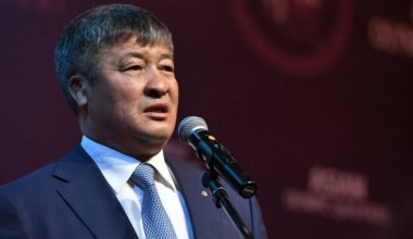 Даулет Турлыханов ушел с поста президента Федерации борьбы Казахстана